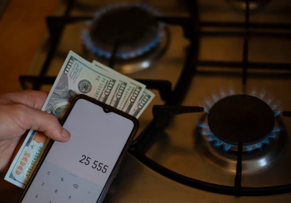 Household gas bill and cost drivers visual