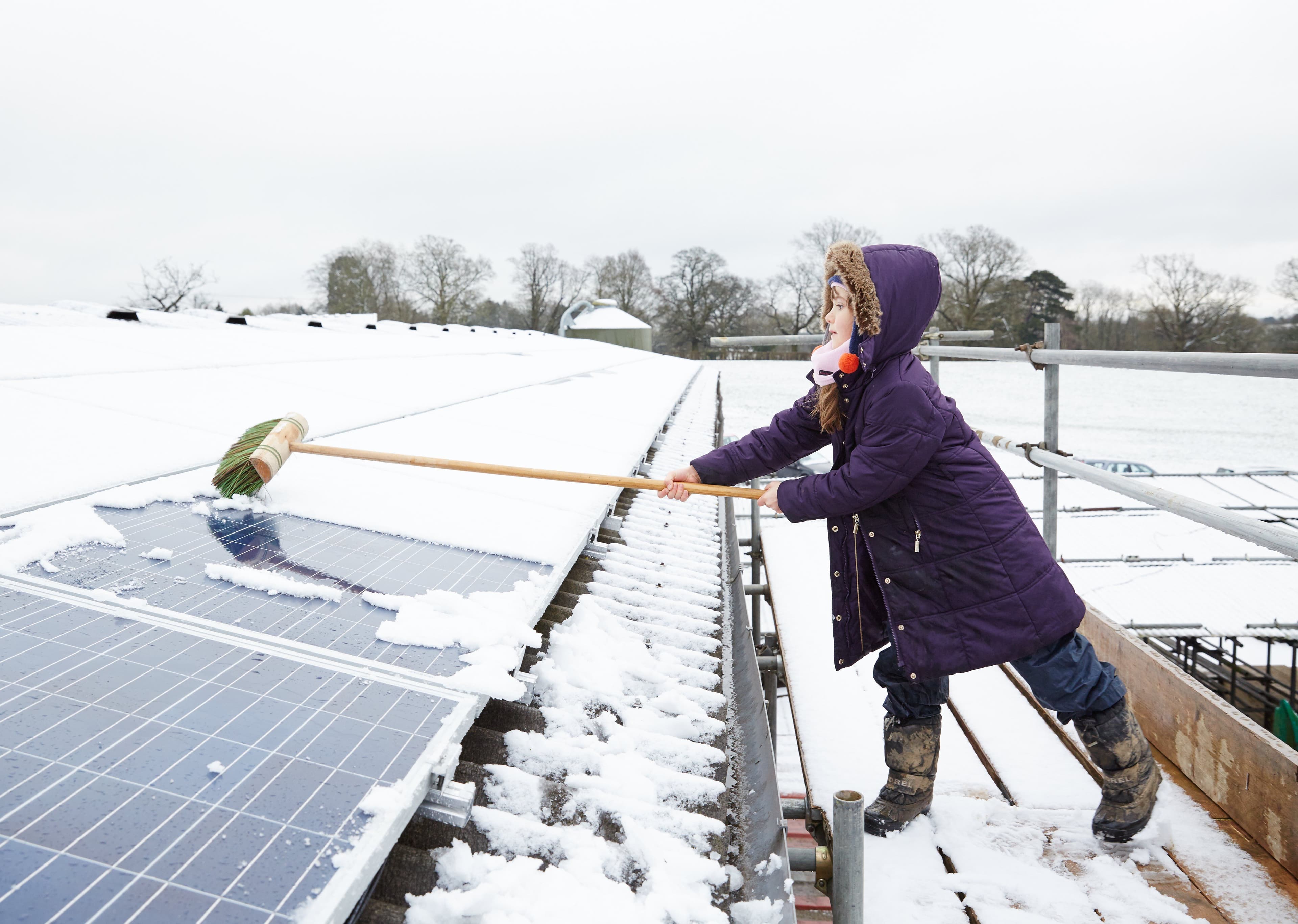 Person cleaning rooftop solar panels, representing solar feed-in tariff comparisons.
